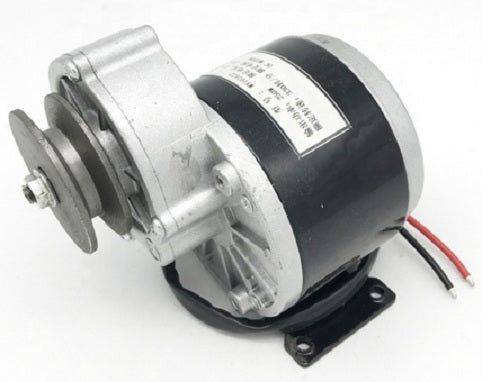Tilt-Motor 05101424 DC Motor E-SCOOTER 24V 250W